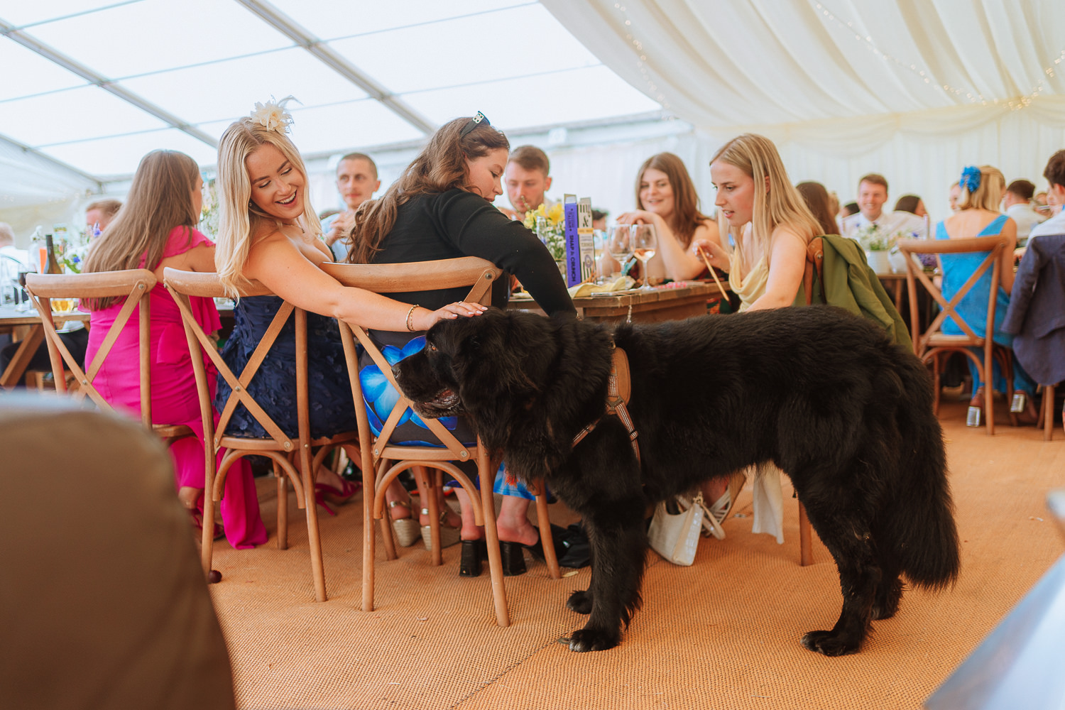 FAMILY HOME FARM WEDDING PHOTOGRAPHY LLANTWIT MAJOR 019 FAMILY HOME FARM WEDDING PHOTOGRAPHY LLANTWIT MAJOR 019